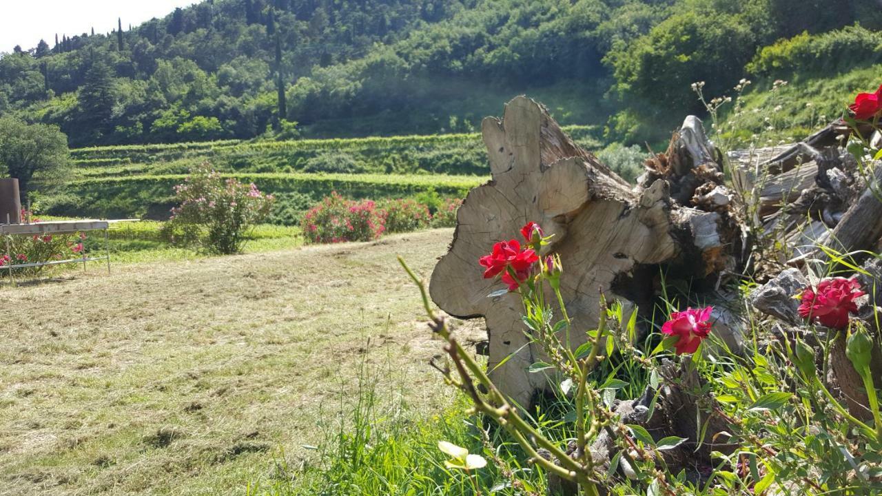 La Casetta Di Chiara 푸르마네 외부 사진